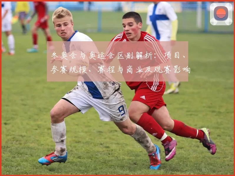 冬奥会与奥运会区别解析：项目、参赛规模、赛程与商业及观赛影响