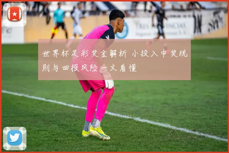 世界杯足彩奖金解析 小投入中奖规则与回报风险一文看懂